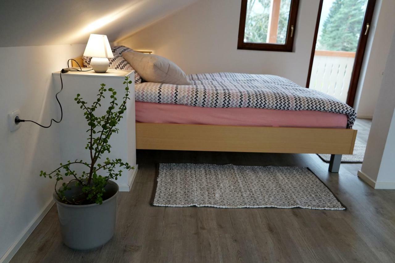 Apartma Erzen Zgornje Gorje Kültér fotó