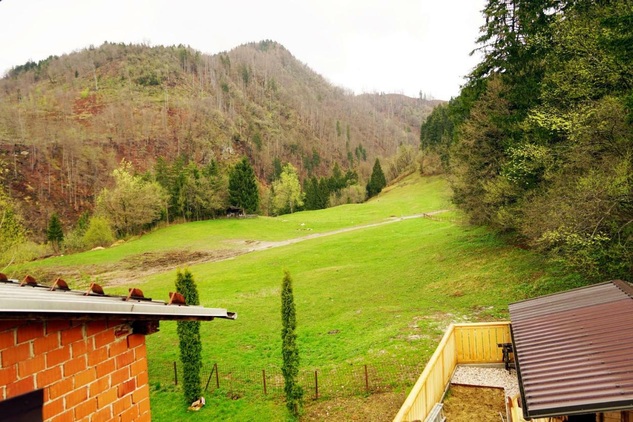 Apartma Erzen Zgornje Gorje Kültér fotó